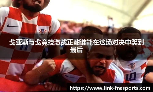 蜂鸟电竞官方网站